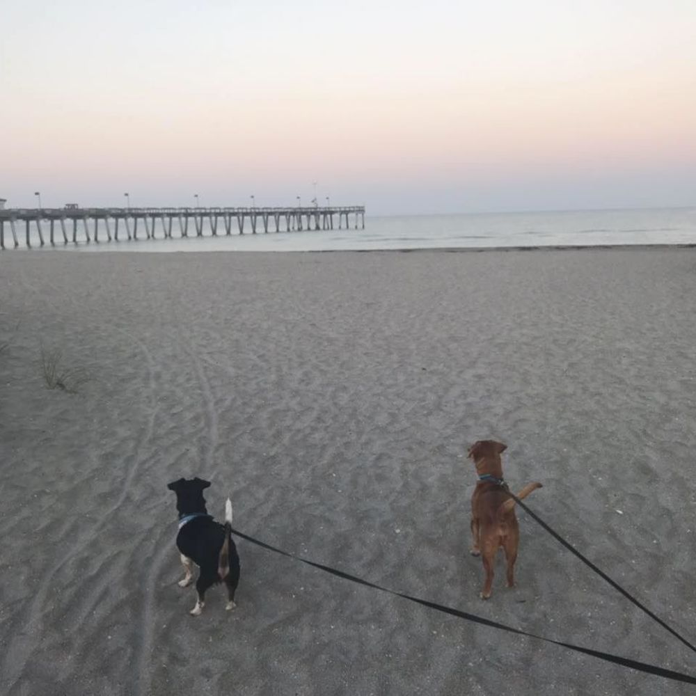 Meet your Posher, Dawn